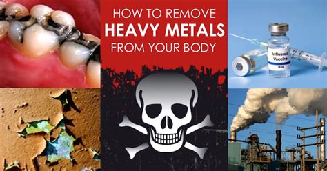 top-strategies-and-heavy-metal-chelating-foods-to-treat image