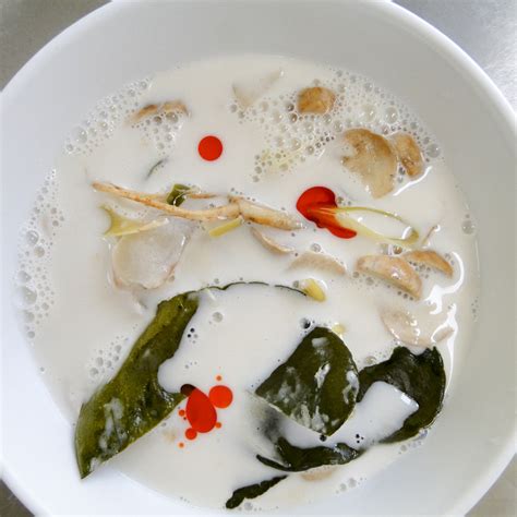 thai-chicken-coconut-soup-something-new-for-dinner image