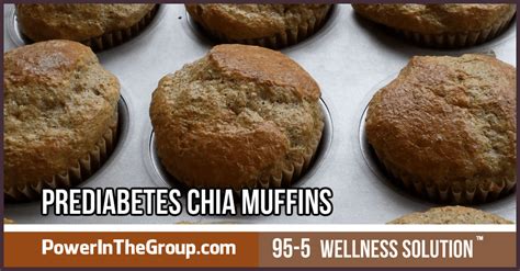 diabetic-chia-seed-recipe-chia-seed-muffins-gf image