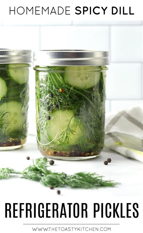 spicy-dill-refrigerator-pickles-the-toasty-kitchen image