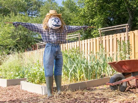 how-to-make-a-scarecrow-for-your-garden-hgtv image