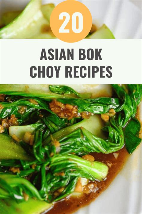 20-delicious-asian-bok-choy-recipes-to-spice-up-your image