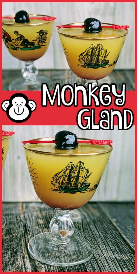 the-monkey-gland-cocktail-the-kitchen-magpie image
