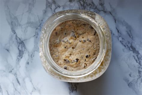 how-to-make-your-own-liquid-sourdough-starter image