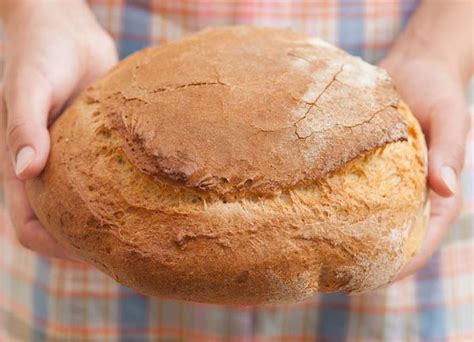 no-time-bread-recipe-easy-to-make-bread-recipes-at image