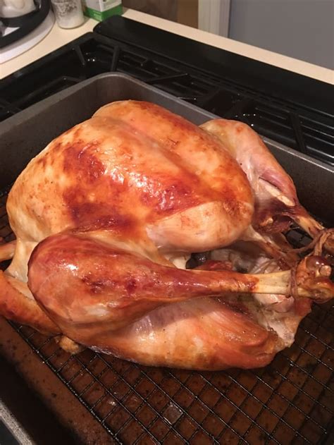 i-tried-martha-stewarts-perfect-roast-turkey-and-brine image