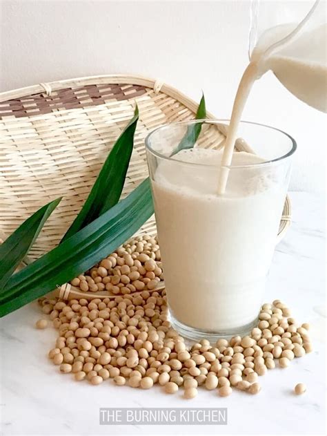traditional-soy-milk-secret-recipe-the-burning-kitchen image