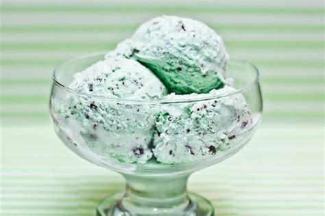 homemade-mint-chocolate-chip-ice-cream-chew-out image
