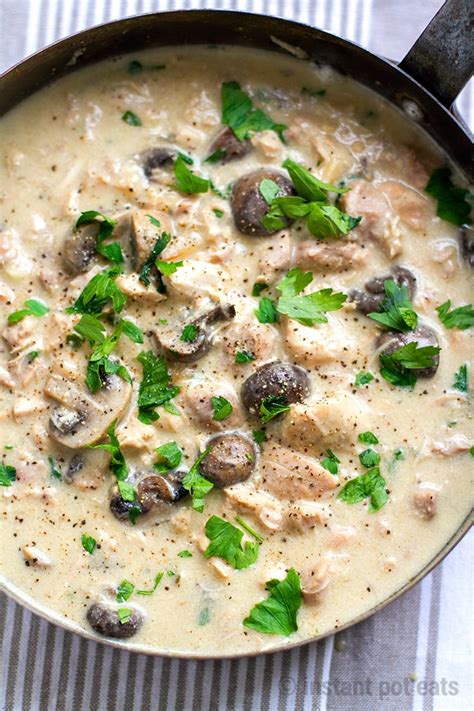 instant-pot-chicken-stew-with-mushrooms-instant-pot-eats image