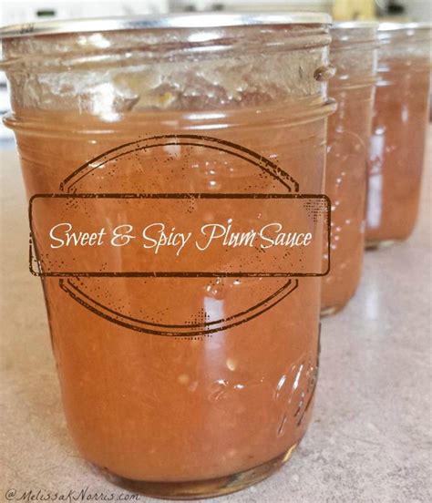 sweet-and-spicy-plum-sauce-canning-recipe-melissa image