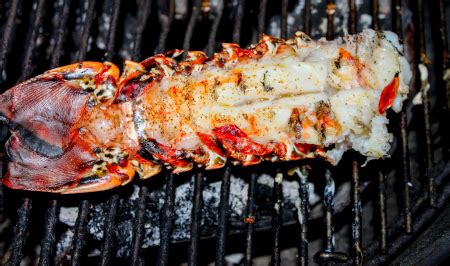 barbecue-lobster-recipes-easy image