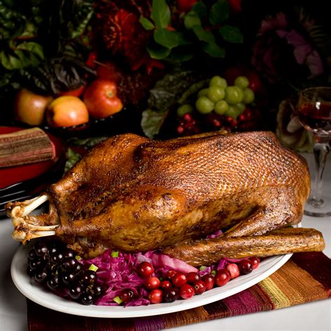 4-goose-recipes-for-the-holidays-center-of-the-plate image