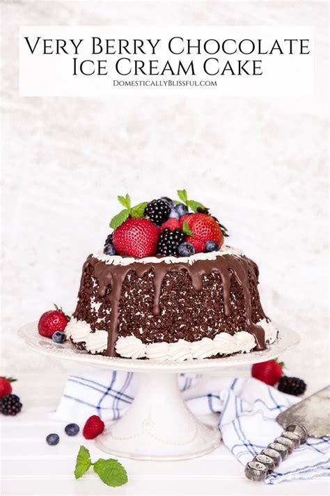 very-berry-chocolate-ice-cream-cake-domestically image