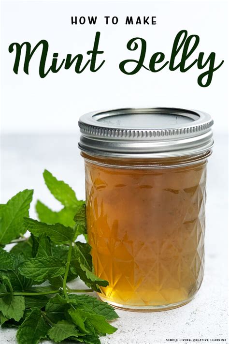 how-to-make-mint-jelly-simple-living-creative-learning image