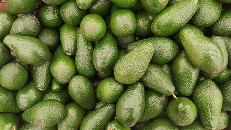 avocados-now-made-in-china-culture-trip image