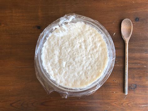 easy-sourdough-starter-made-with-yeast-friendship image