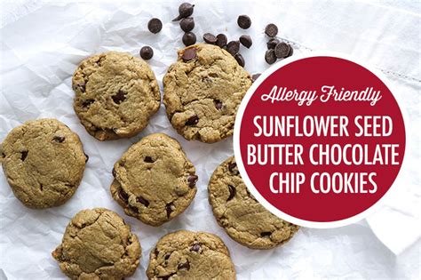 allergy-friendly-nut-free-sweets-sunflower-seed image