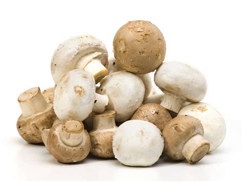recipe-ma-po-bean-curd-with-mushrooms-the-globe image