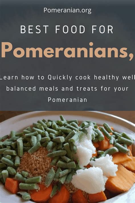 pomeranian-food image