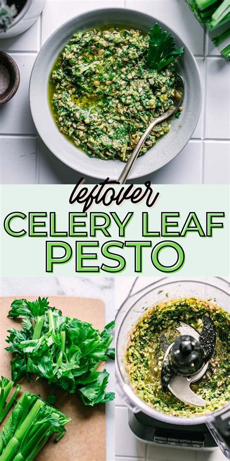 leftover-celery-leaf-pesto-make-pesto-from-leftover image