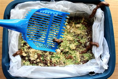 this-kitty-litter-cake-is-the-best-april-fools-dessert-prank image