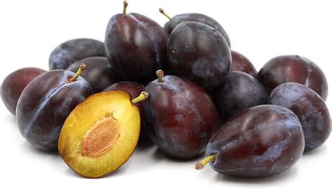 italian-prune-plums-information-recipes-and-facts image