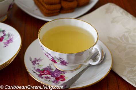 aromatic-lemongrass-and-ginger-tea-caribbean image