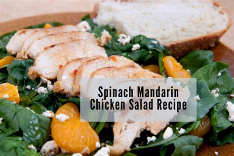 spinach-mandarin-salad-with-chicken-health-stand image
