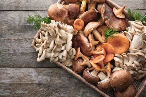 39-different-types-of-edible-mushrooms-with-pictures image