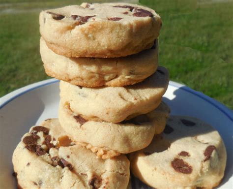 peanut-butter-chocolate-chip-shortbread-cookies image