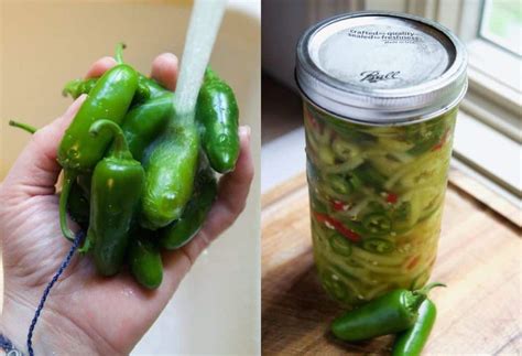 homemade-quick-pickled-hot-peppers-no-canning image