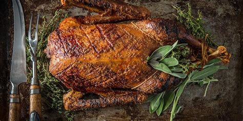 roasted-christmas-goose-recipe-traeger-grills image