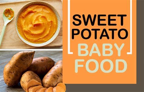 7-best-sweet-potato-baby-food-recipes-for-your-child image