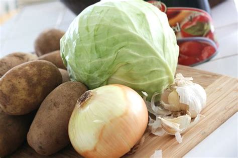 peasant-food-hamburger-cabbage-soup-assortment image