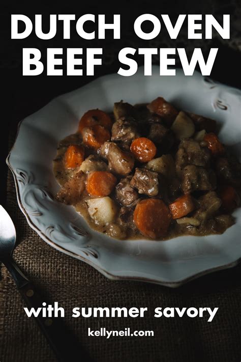 dutch-oven-beef-stew-with-dried-summer-savory-kelly image