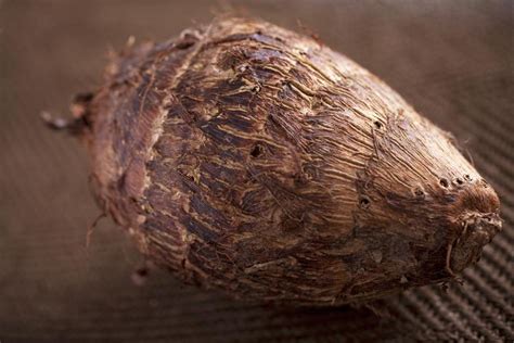 how-to-cook-malanga-the-nutty-flavoured-potato image