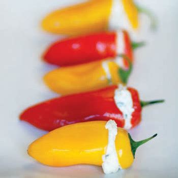 ricotta-stuffed-baby-bell-peppers-recipes-greg image