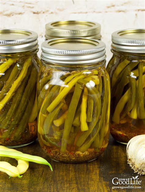good-old-fashioned-pickled-dilly-beans-grow-a-good-life image