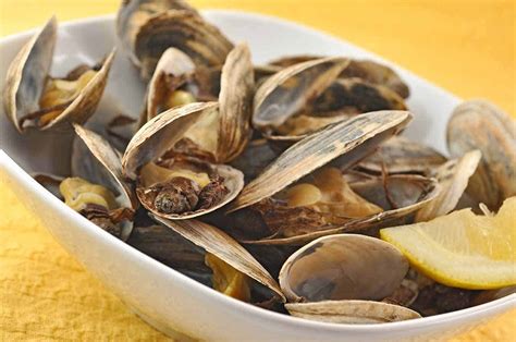 steamer-clams-new-england-style-mygourmetconnection image