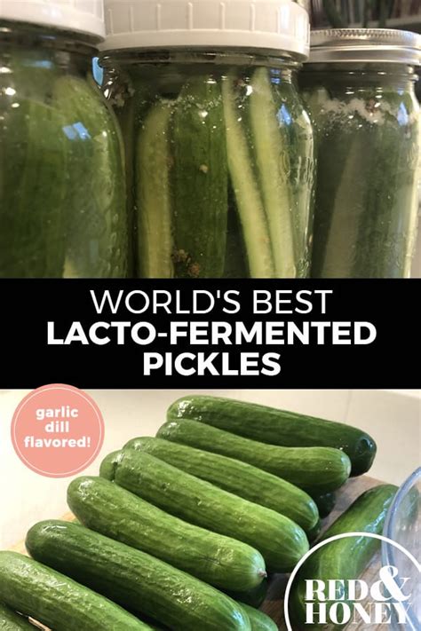 the-best-fermented-garlic-dill-pickles-recipe-red-and image