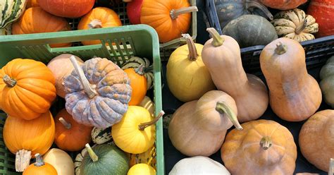 12-types-of-winter-squash-and-how-to-cook-them image