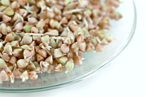 buckwheat-sprouts-nutritional-facts-recipe-food image