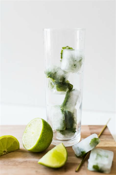 mojito-ice-cubes-with-ashley-of-sugar-and-cloth-lulus image