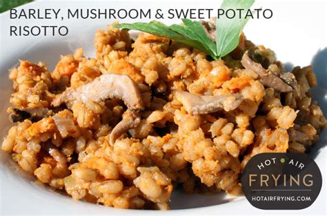 barley-mushroom-and-sweet-potato-risotto-hot-air image