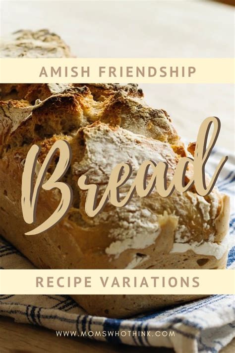 amish-friendship-bread-recipe-variations-moms-who image