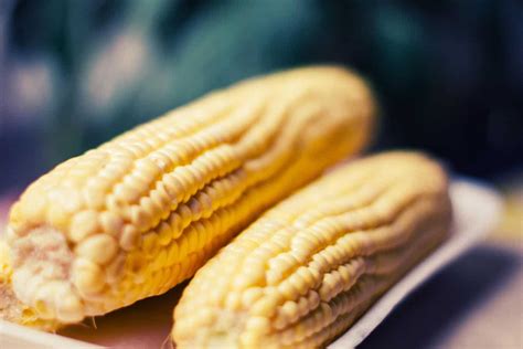 microwave-corn-on-the-cob-love-food-not-cooking image