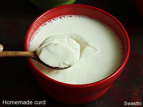 how-to-make-curd-dahi-recipe-indian-yogurt image
