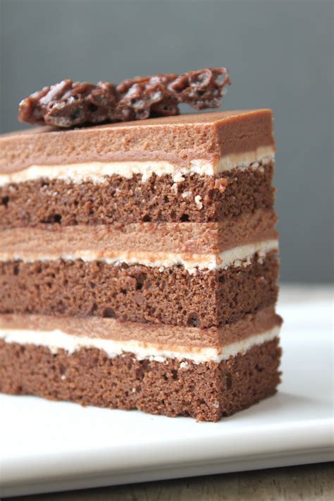 chocolate-hazelnut-cake-the-little-epicurean image