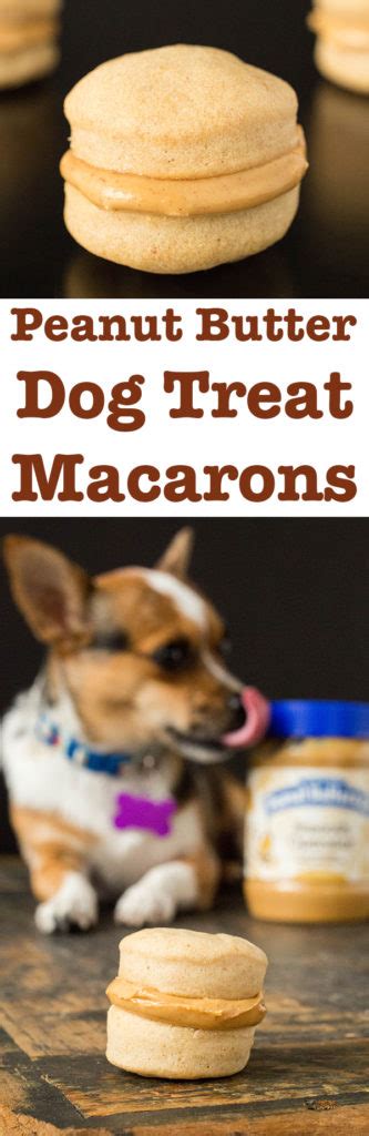 peanut-butter-dog-treat-macarons-recipe-cooking image