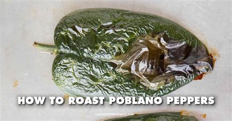 how-to-roast-poblano-peppers-chili-pepper-madness image